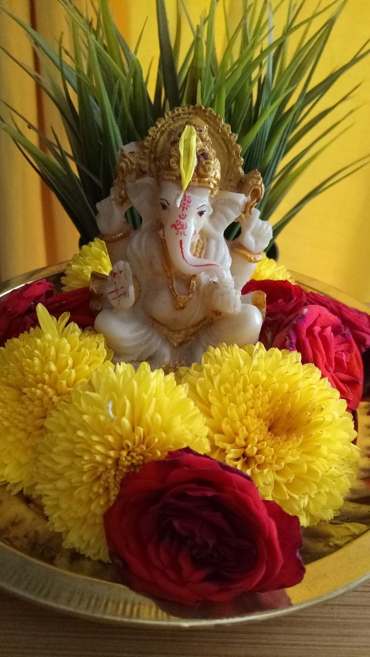 Uma Sharma On Festiv Deco Wallpaper