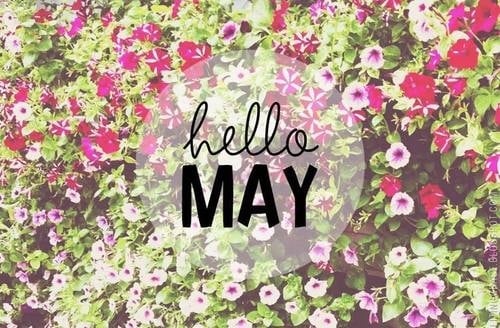 Hello May Pictures Photos and Images for Pinterest