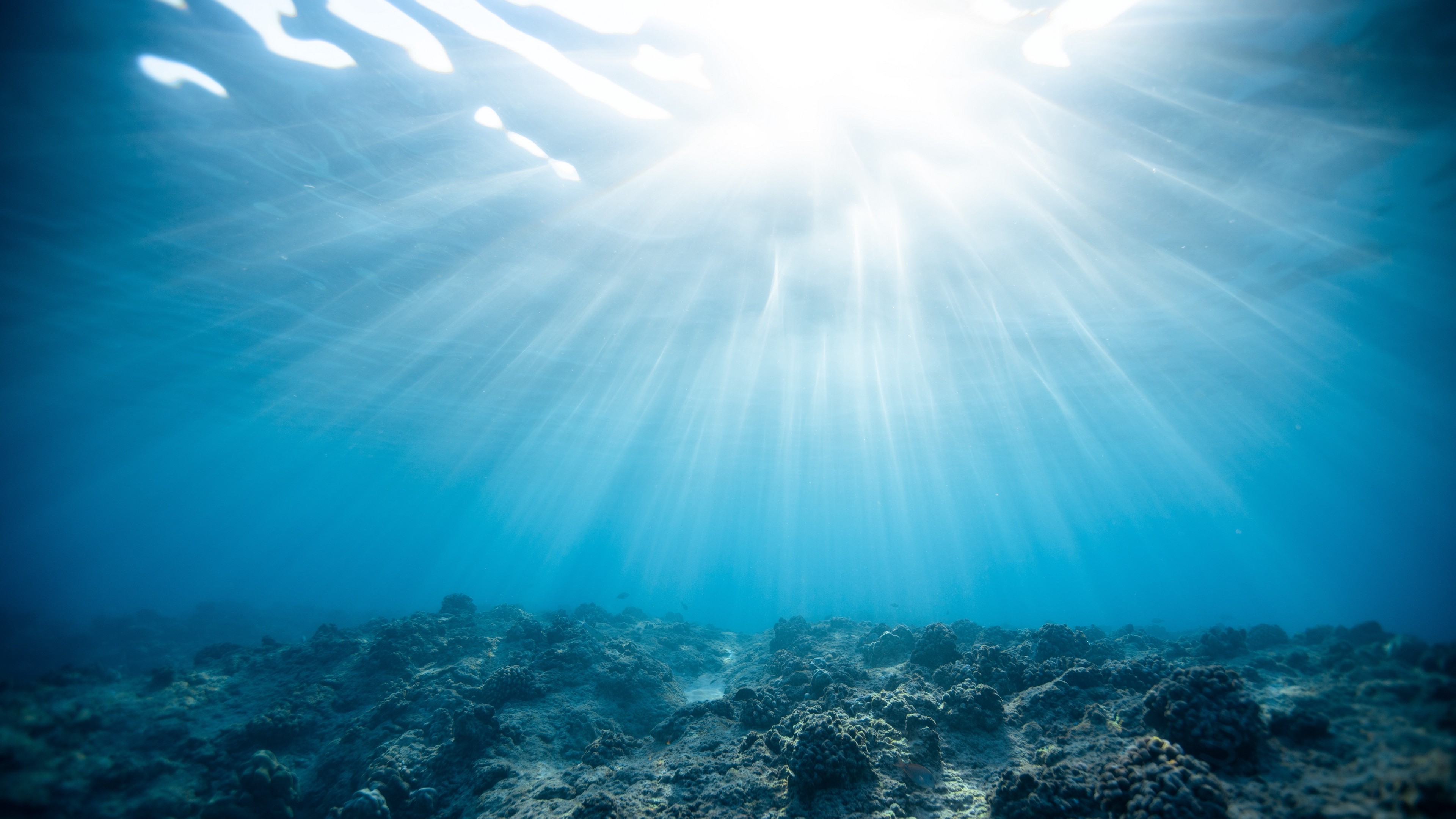 Sunbeams piercing through the surface of a clear blue ocean, illuminating a rocky seabed
