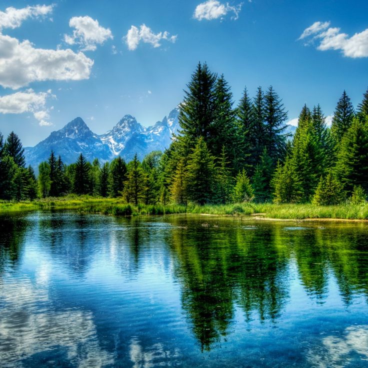 Great Outdoors Wallpaper