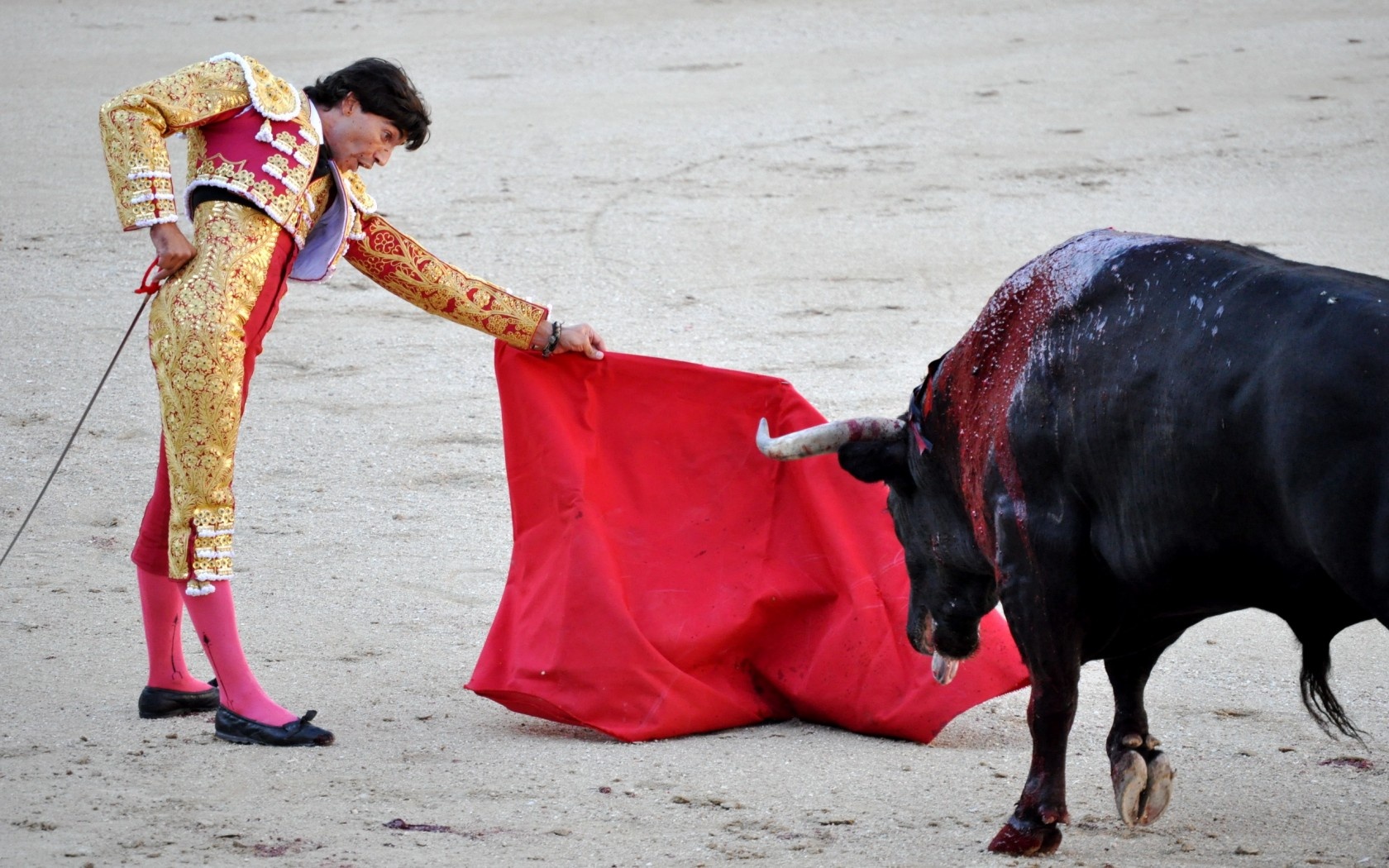 Spain Bull Fighting Wallpaper