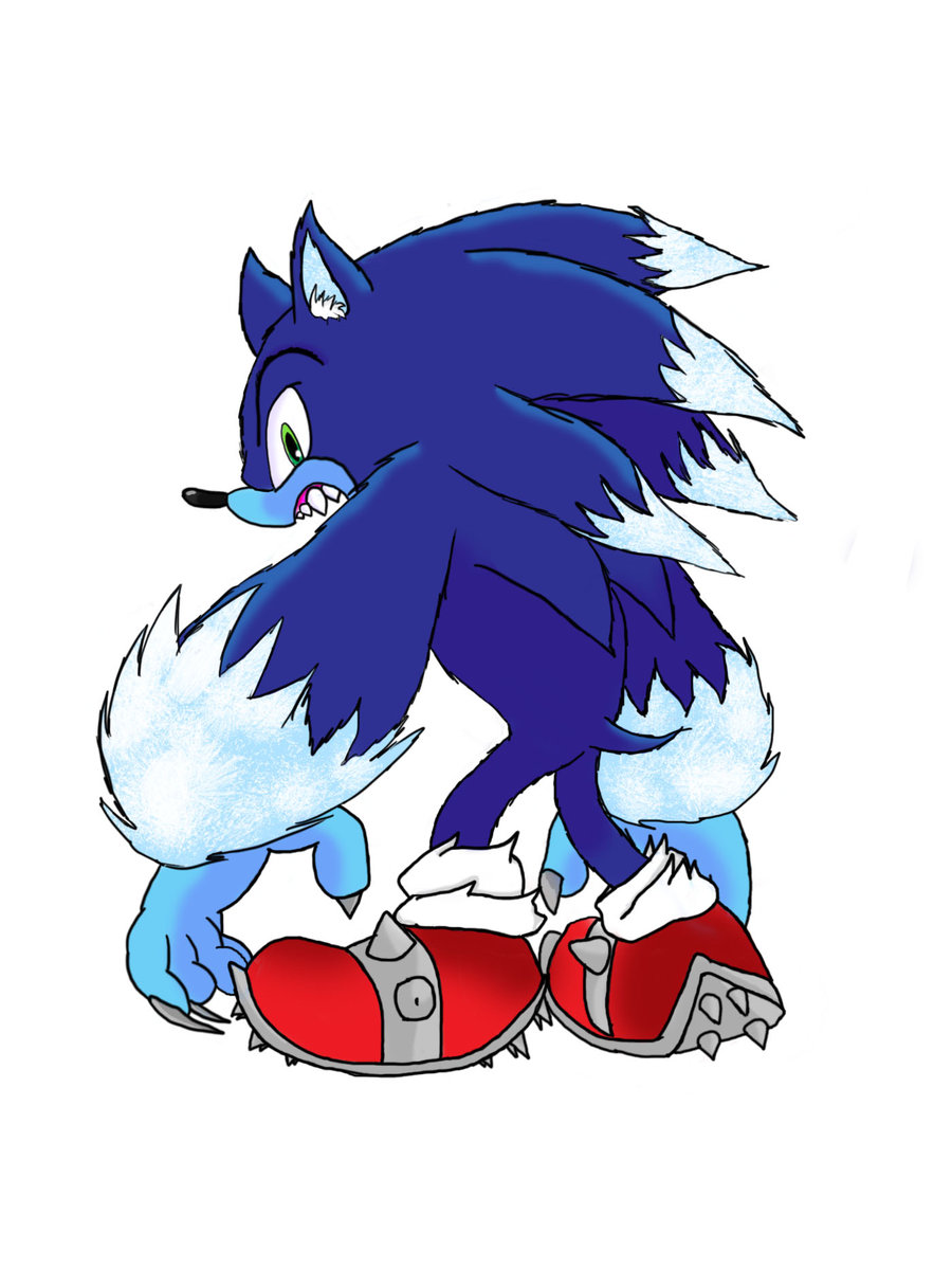 Sonic The Werehog By Bloom5902