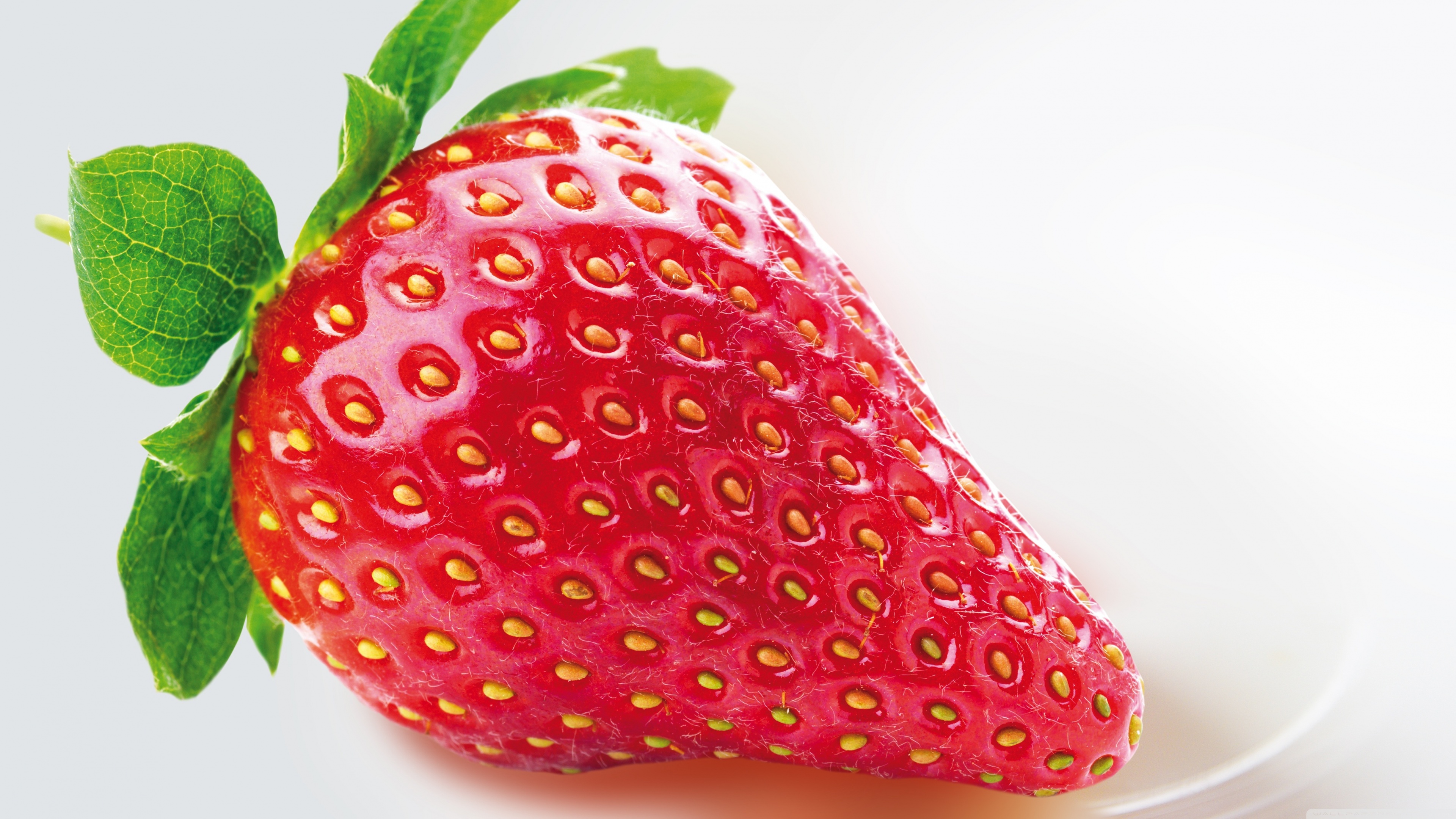 Strawberry Ultra HD Desktop Background Wallpaper For 4k UHD Tv