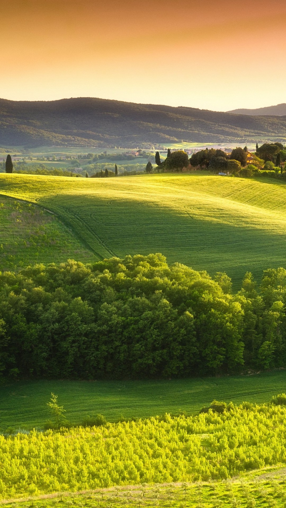 Tuscany Fields Ultra HD Wallpaper UHD