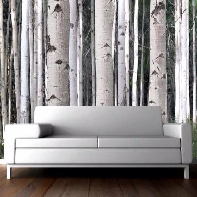 Wallpaper Mural White Trees Home Remodel