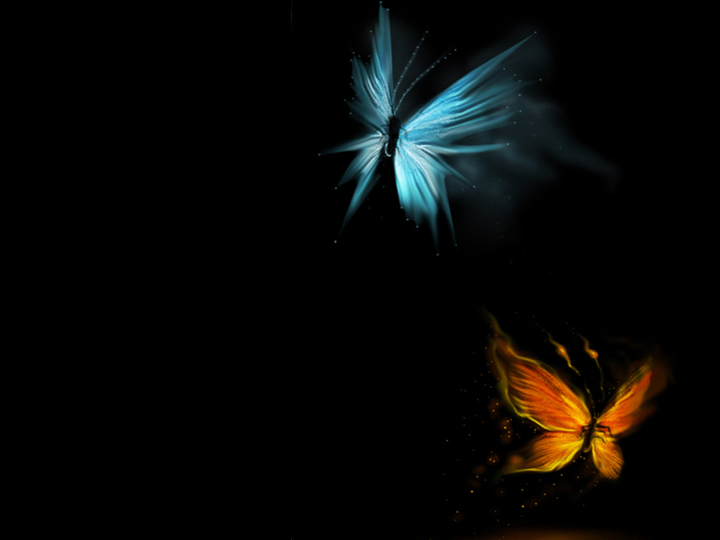 Most Beautiful Butterflies Wallpaper My image
