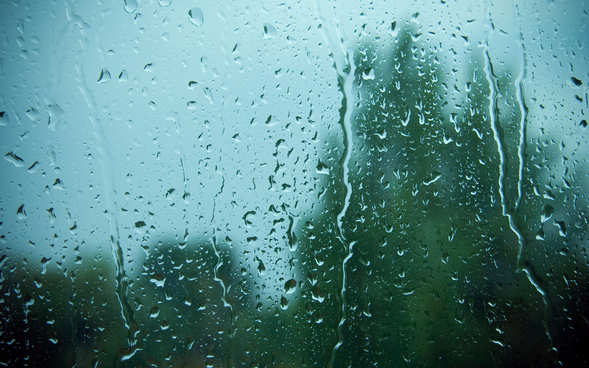 Rain on Window HD wallpaper