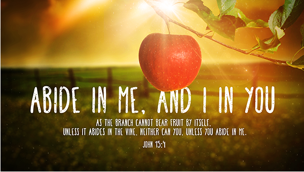 Adding New Bible Art Slides And Modifying Existing Image To Fit