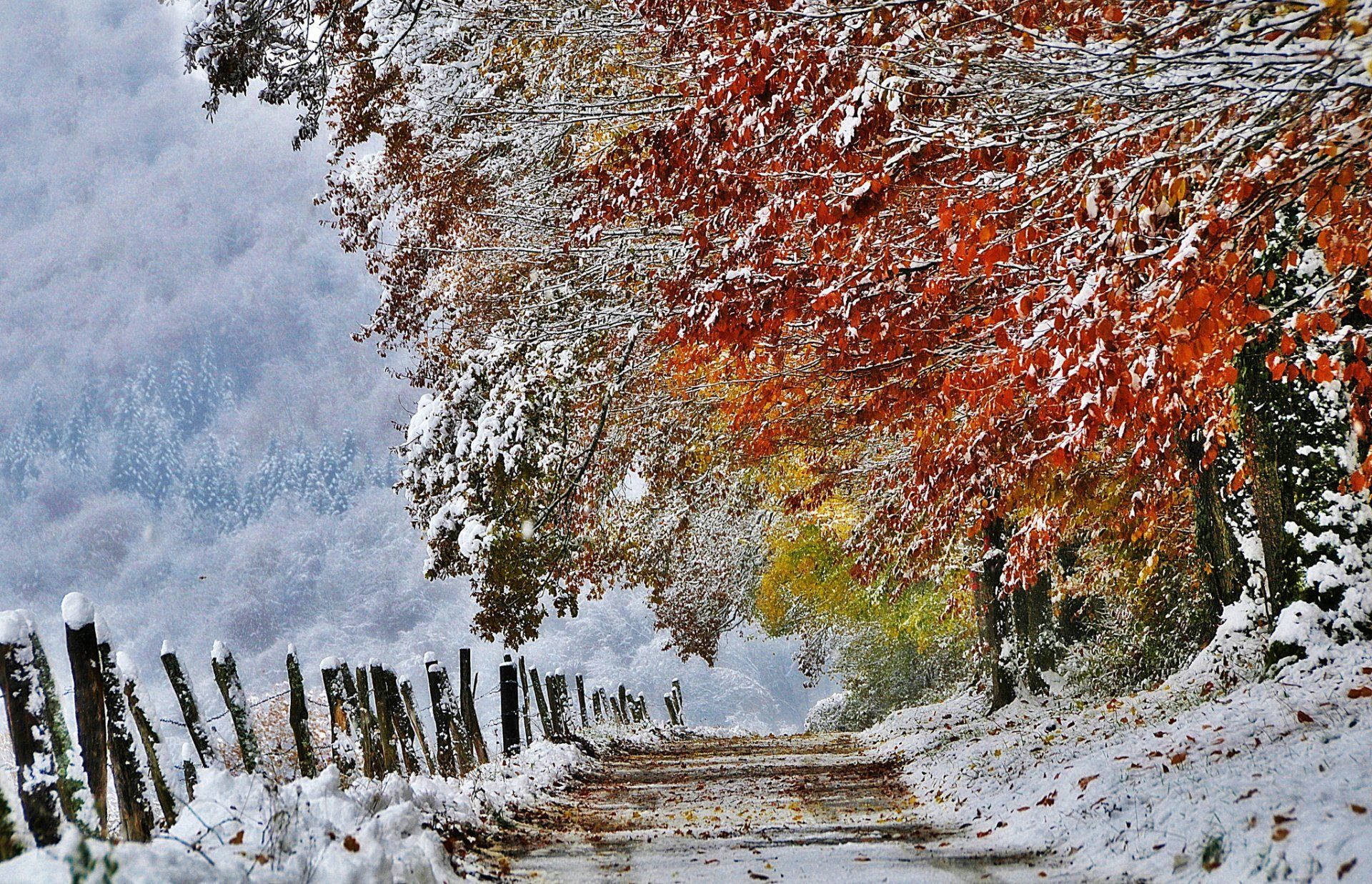 November Wallpaper