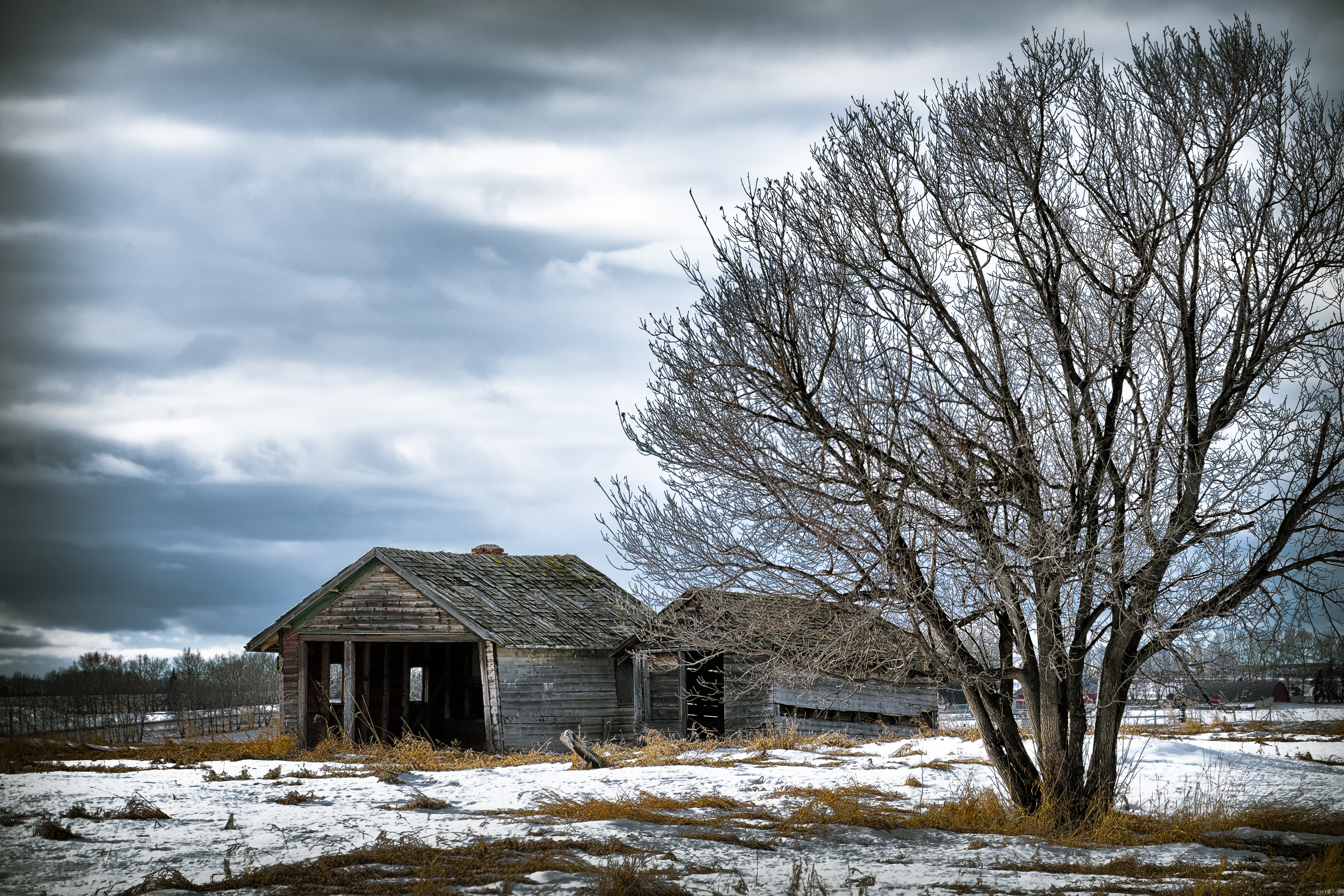 Wallpaper Old Winter Snow Cold Building Abandoned Alberta