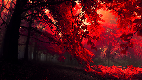 Red Scenery Stock Photos, Images and Backgrounds for Free Download