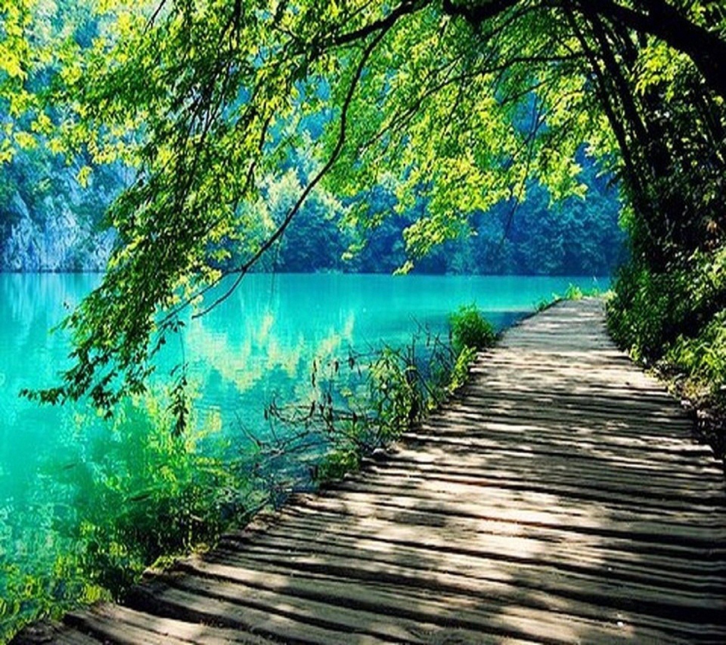 Collection Picture Image Of Nature Scenes Superb Wallpaper