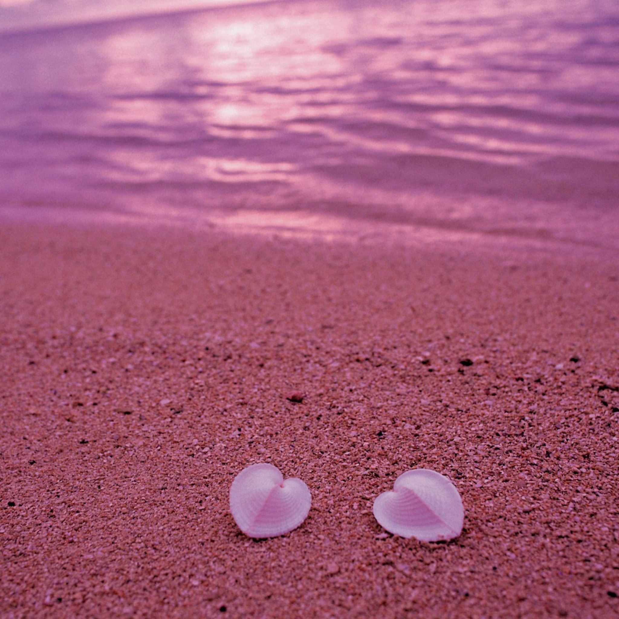 Heart Shaped Seashells On Pink Beach iPad Air Wallpapers Free Download