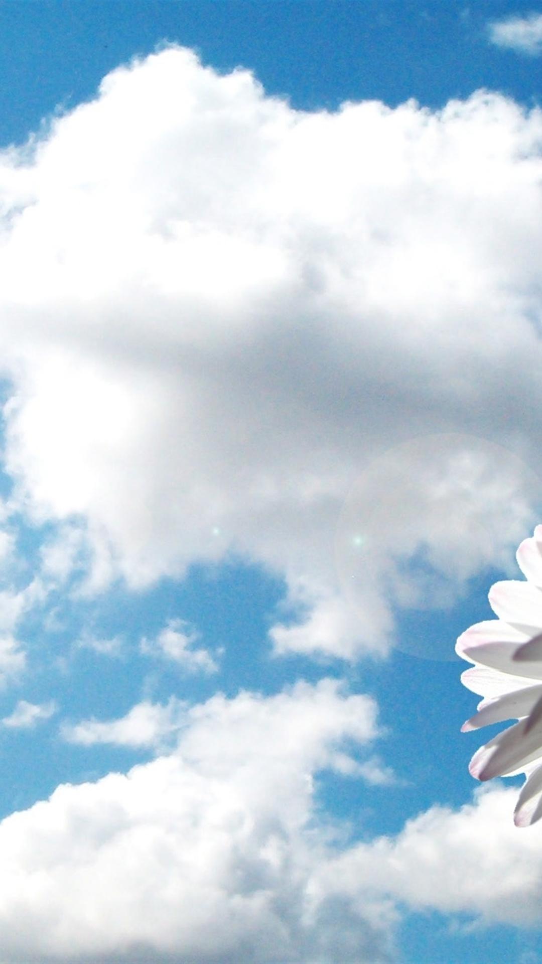 Flower Sky Clouds Sunshine Mood iPhone Plus Wallpaper