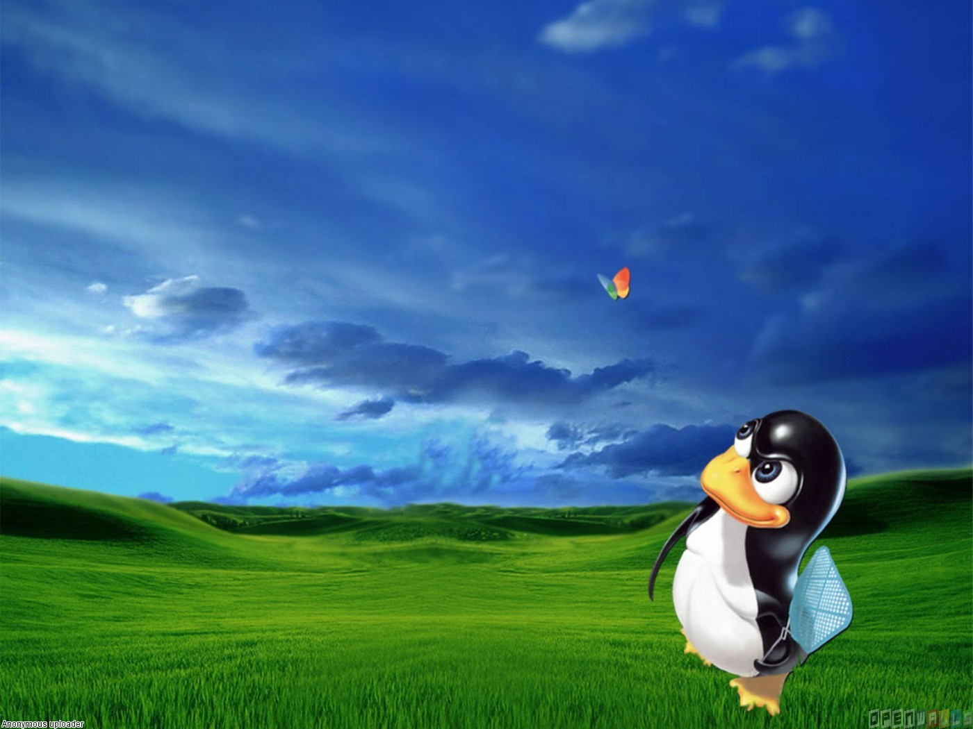 Linux Penguin Wallpaper Open Walls