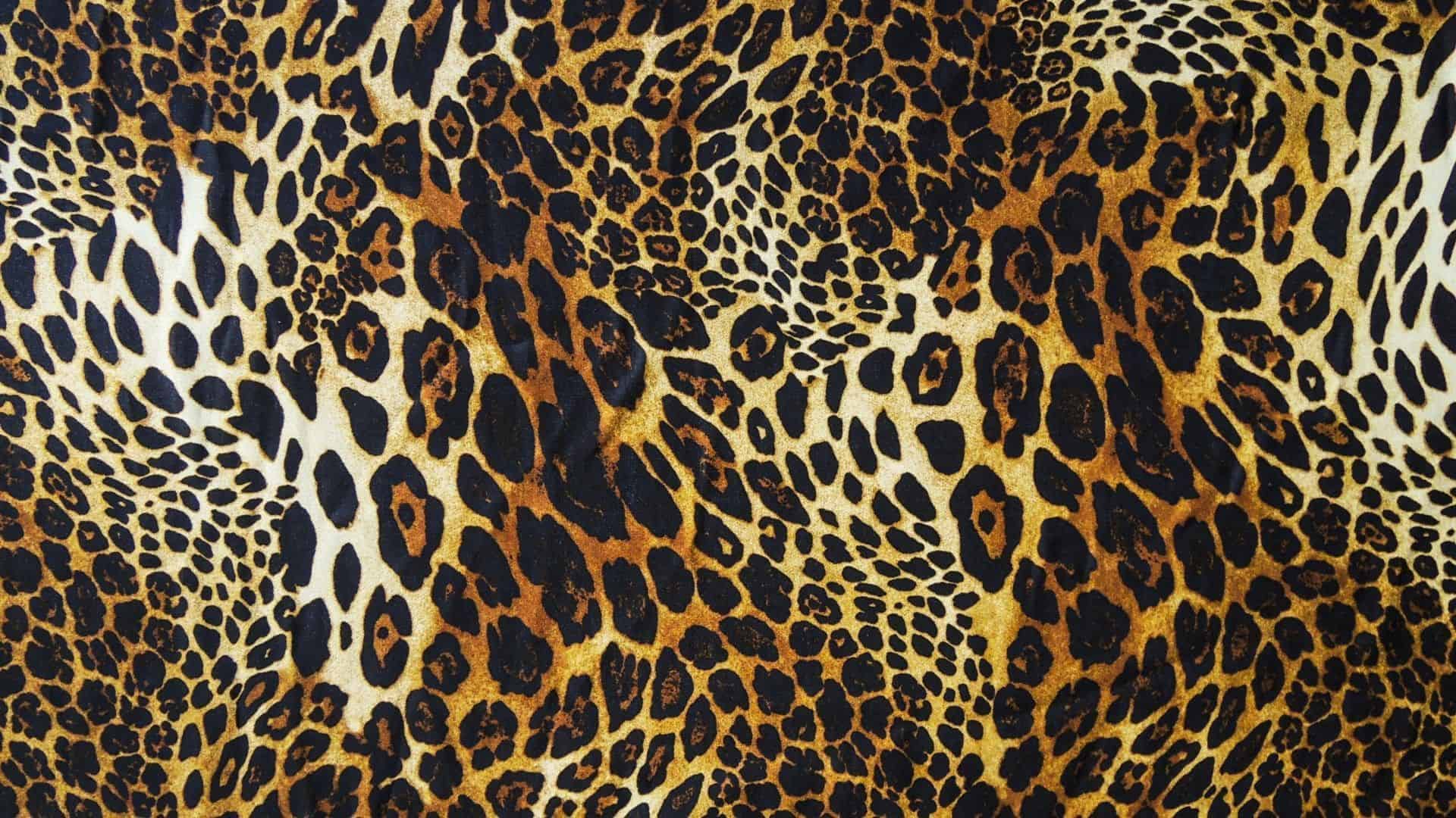 HD Animal Print Wallpaper