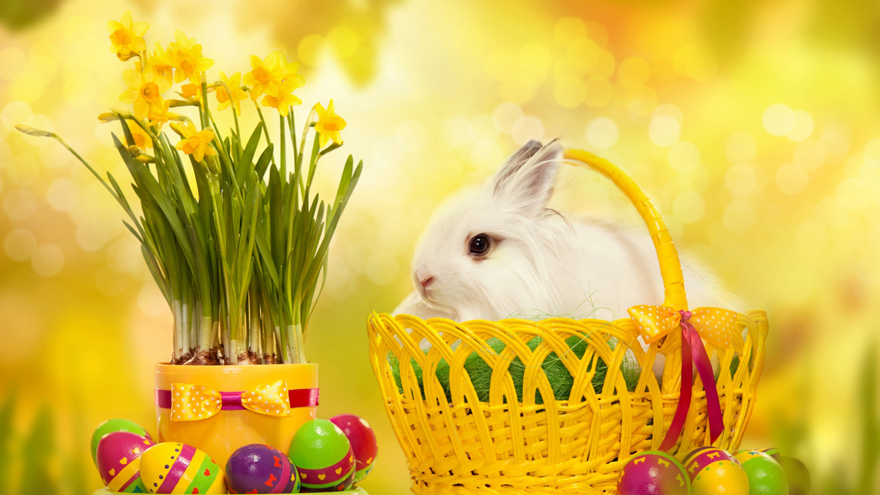 Happy Easter Gifts Wallpaper