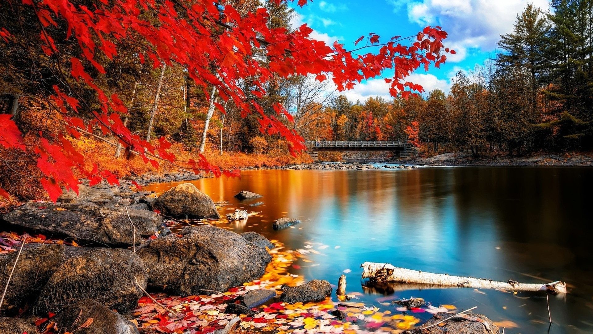 Autumn Wallpaper For Desktop