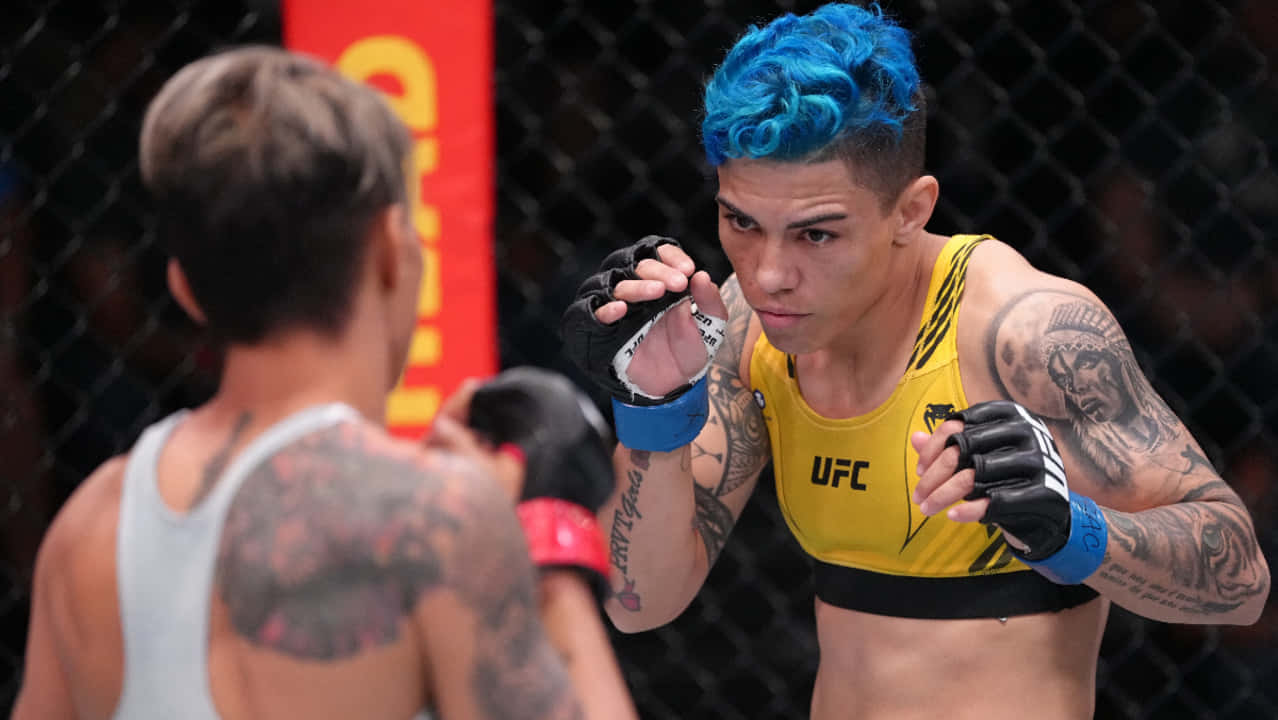 J Ssica Andrade Fighting Amanda Lemos Wallpaper