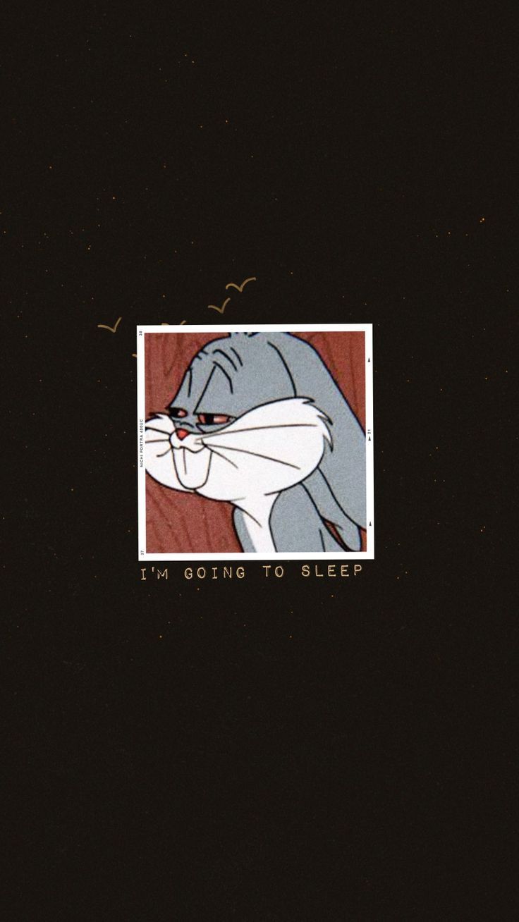 Aesthetic Bunny Wallpaper By Whodaheckisdouljaboy