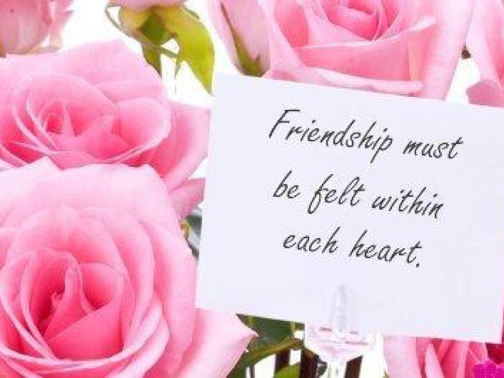 Pink roses with a friendship quote, perfect for a friendship wallpaper