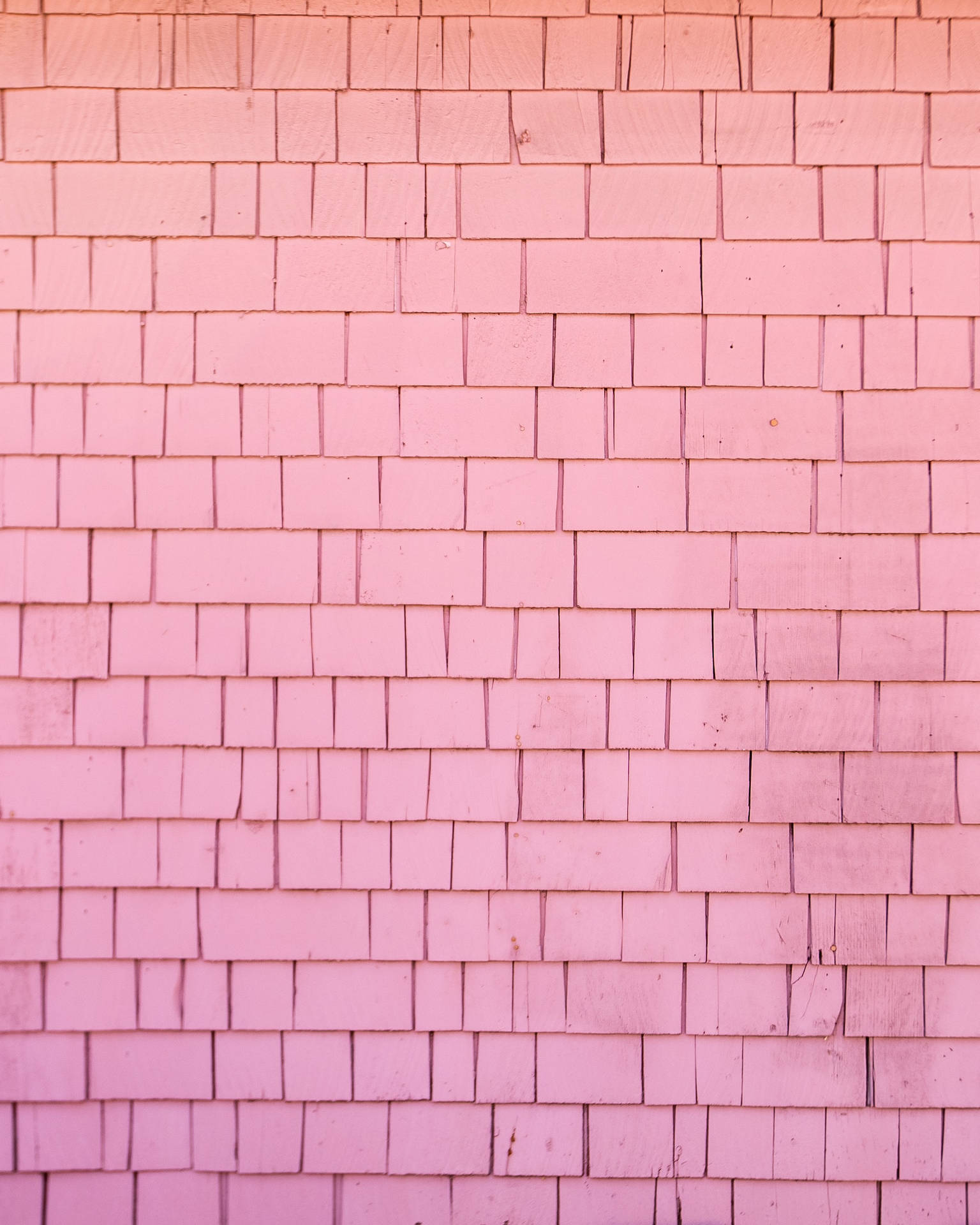 Plain Pink Wallpaper