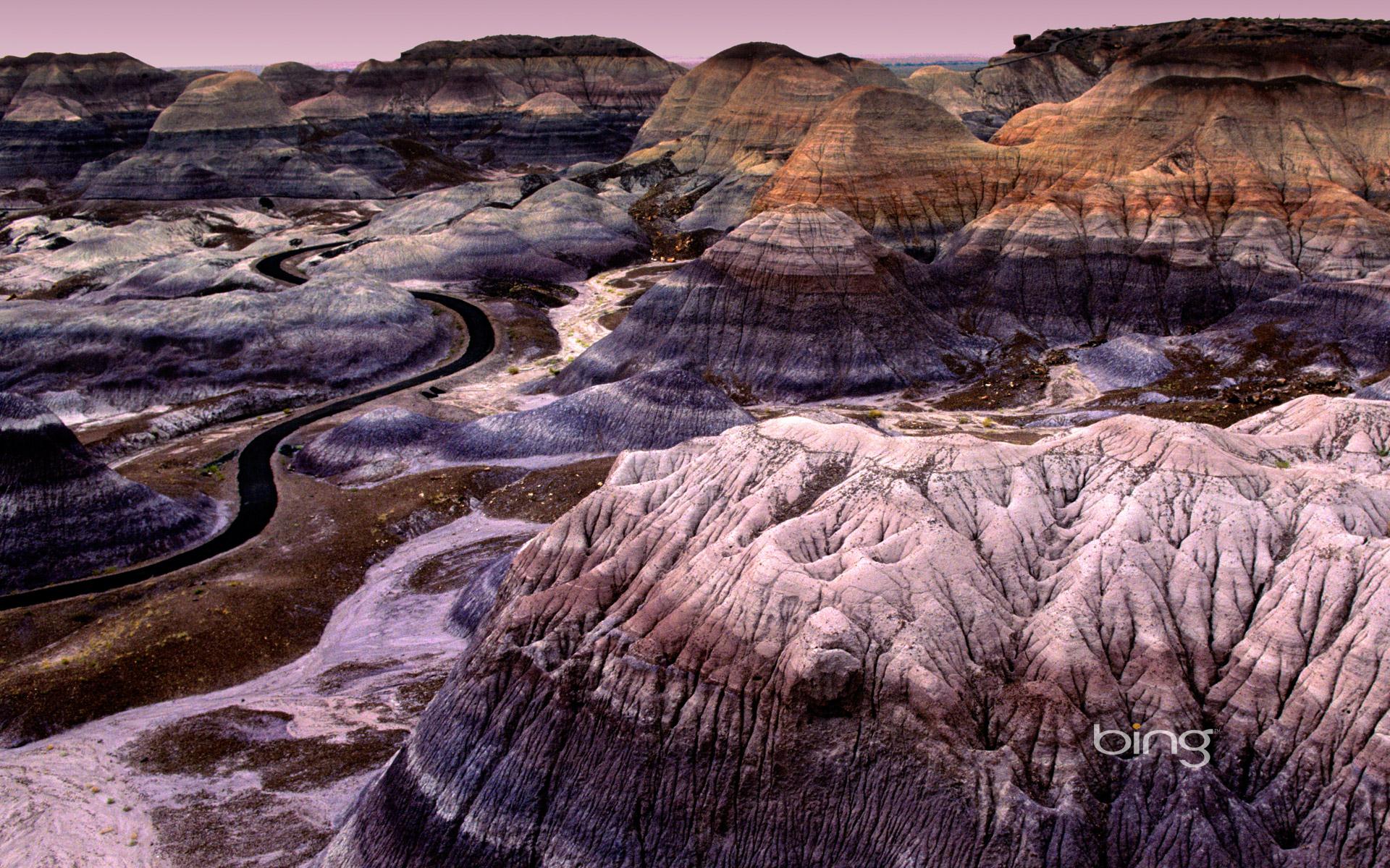 Painted Desert In The Petrified Forest National Park Arizona