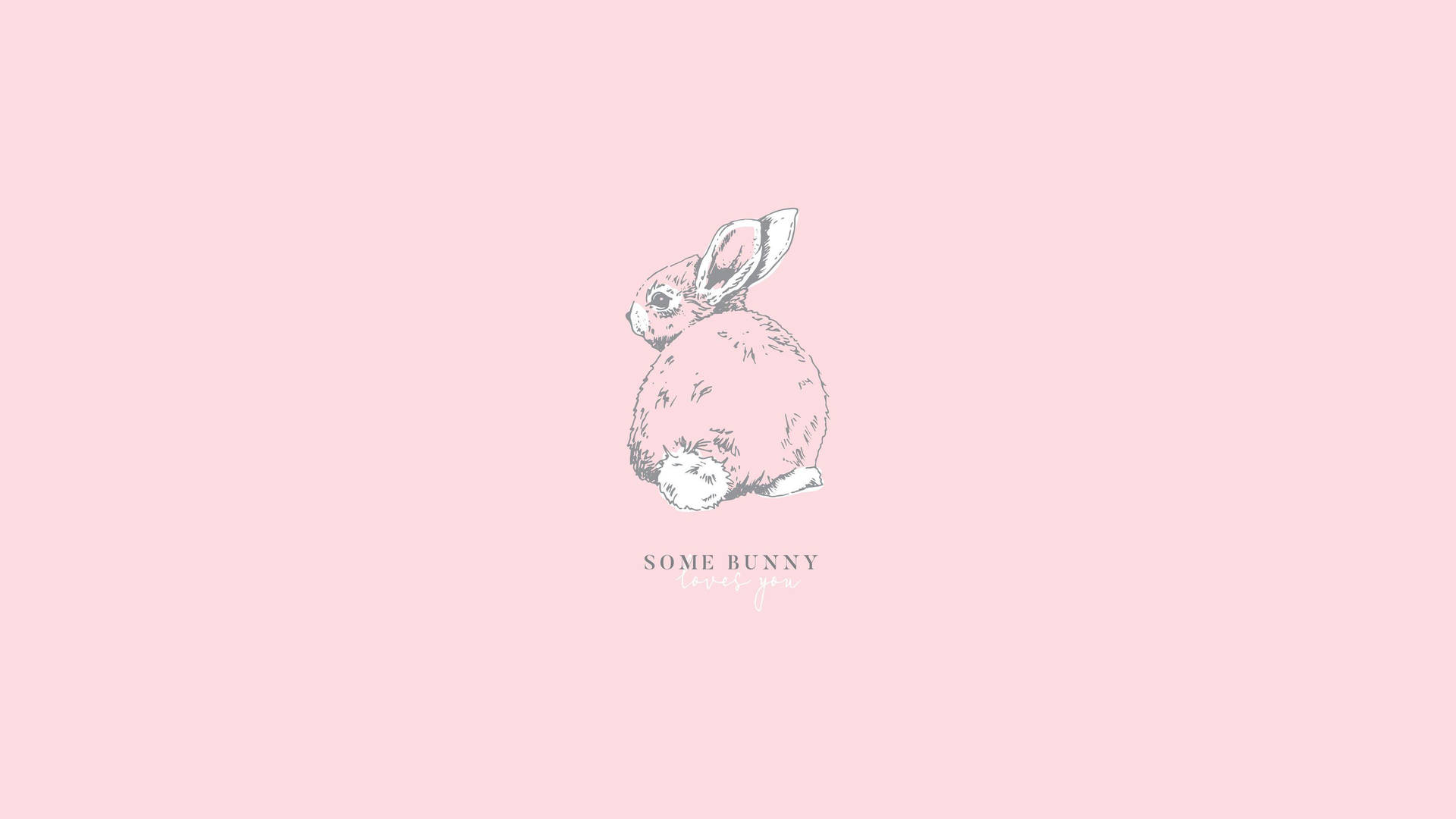 Plain Aesthetic Wallpaper