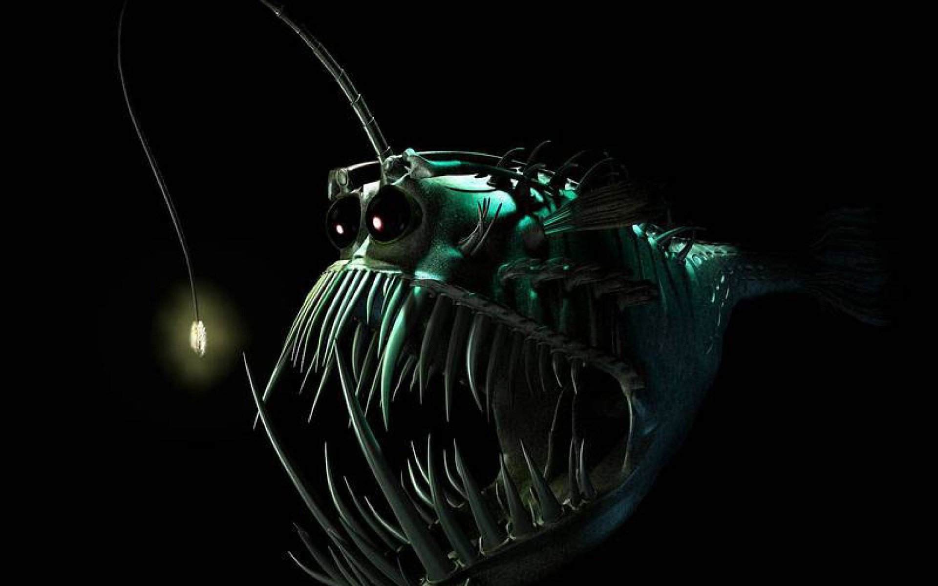 Anglerfish Fish Ocean Sea Underwater Dark Creepy Monster