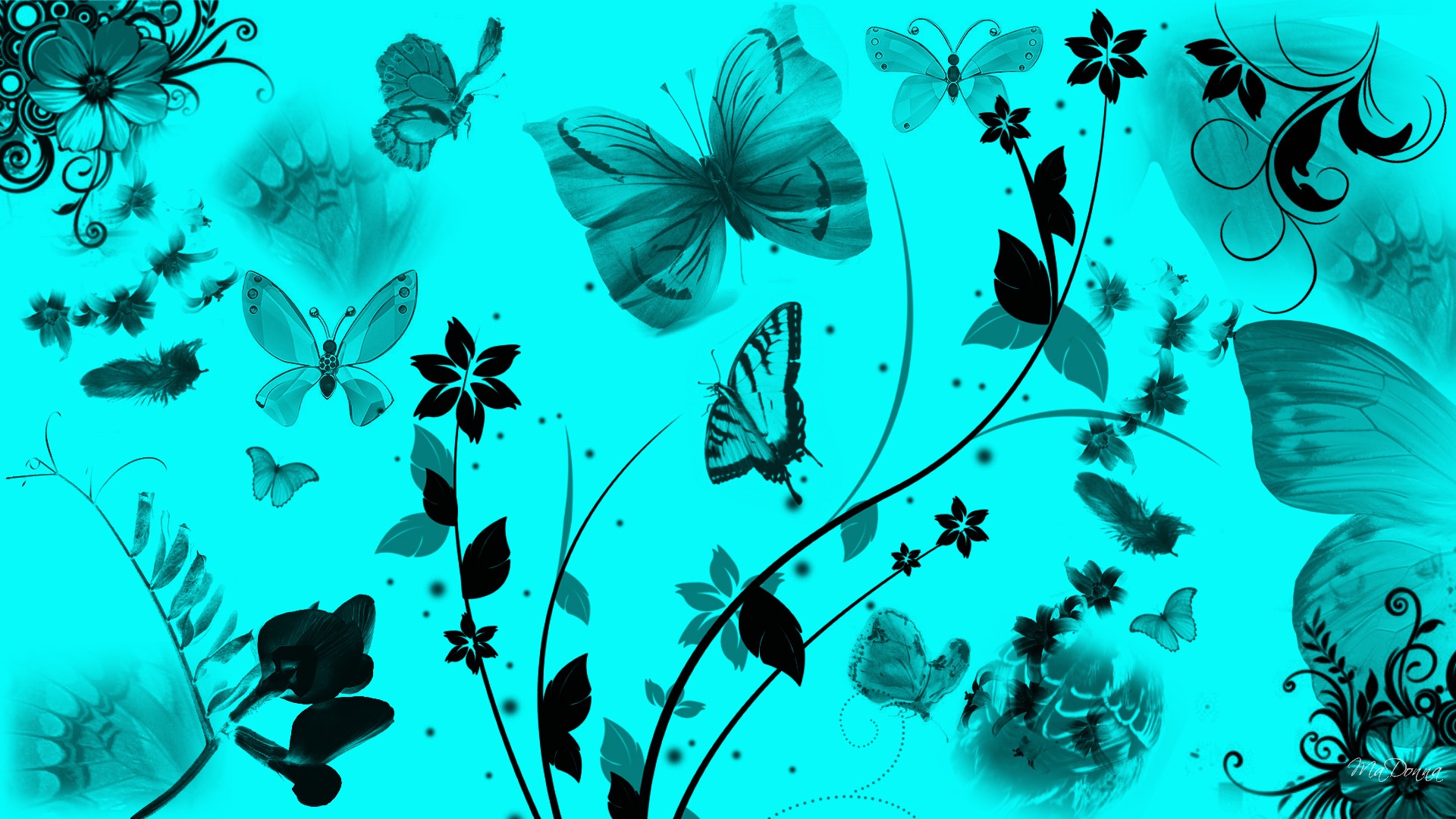 Blumen Federn Breitbild Schmetterlinge Abstrakt