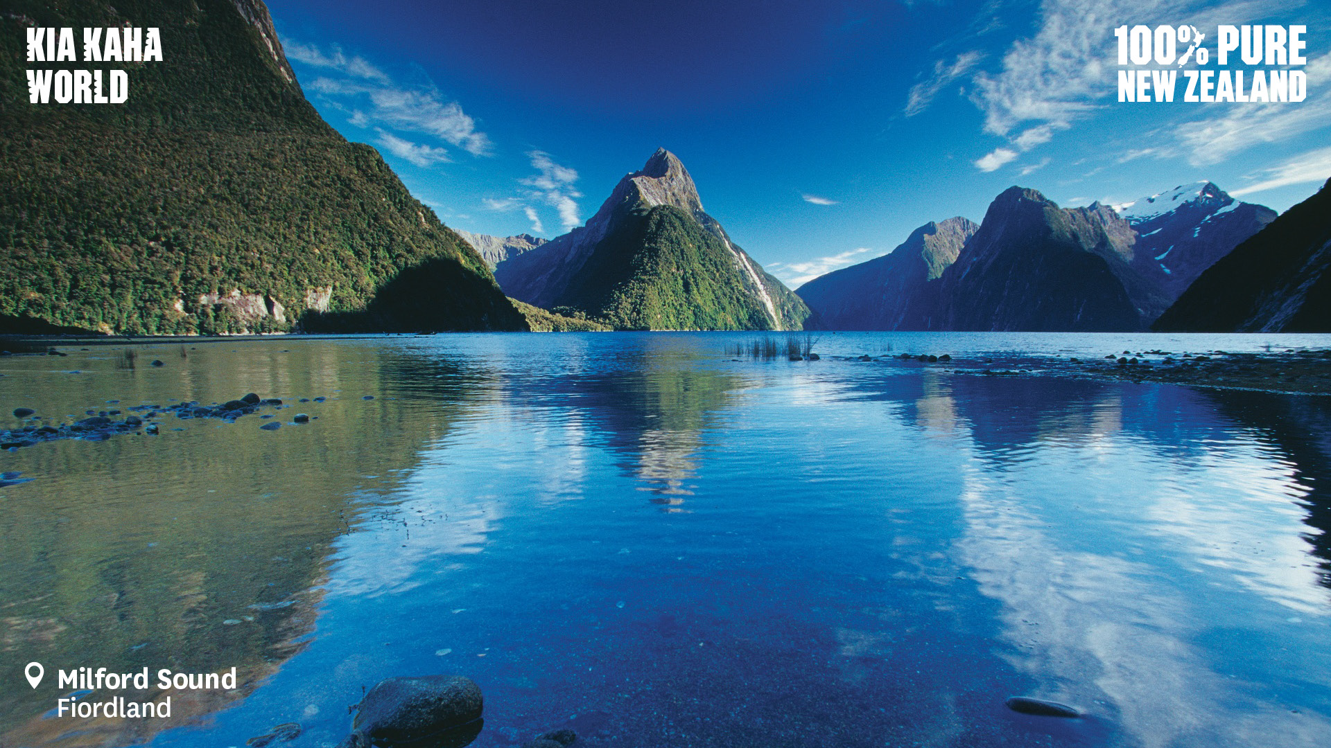 Best New Zealand Zoom backgrounds 100 Pure New Zealand