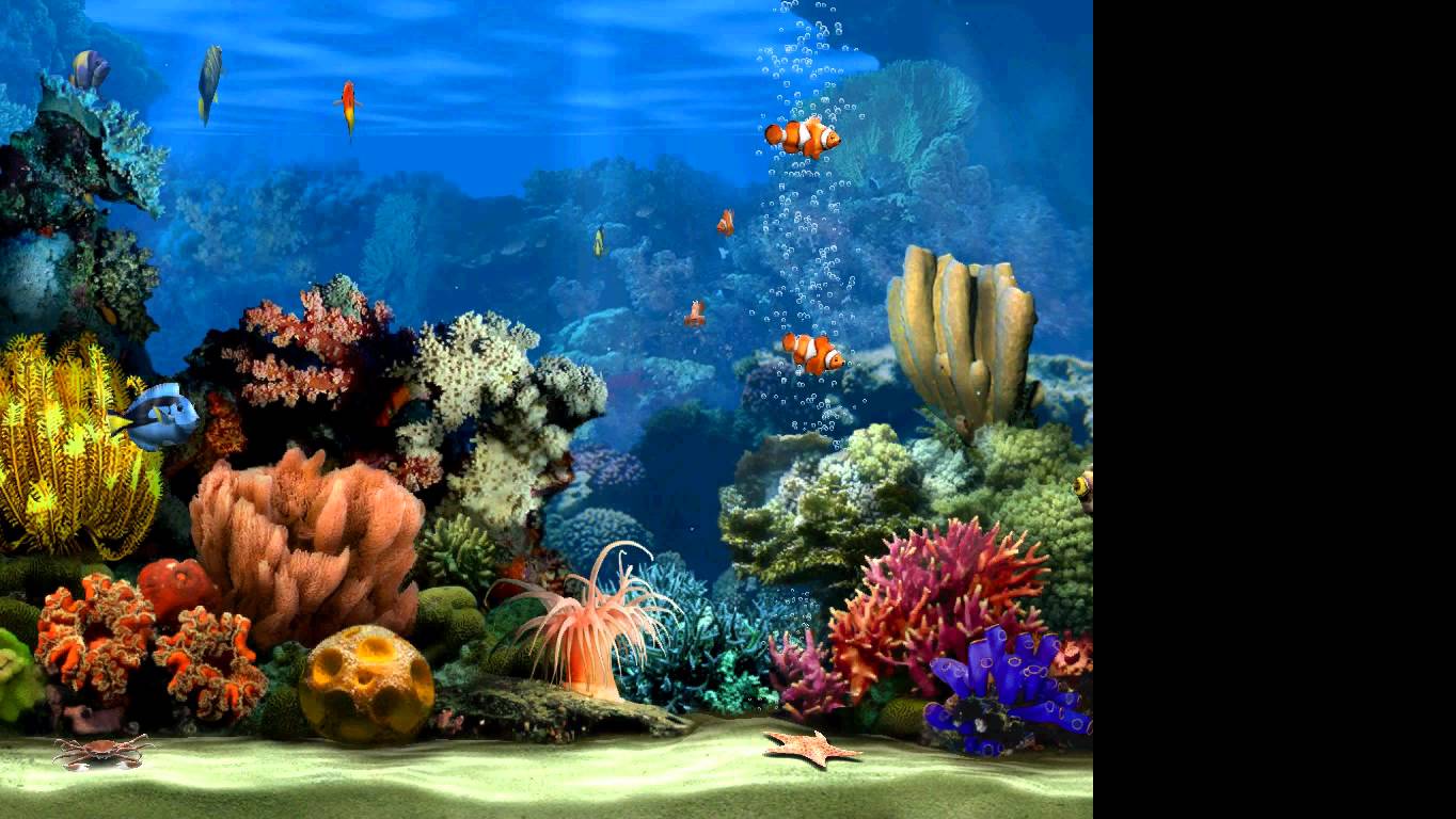 Live Marine Aquarium Screensaver