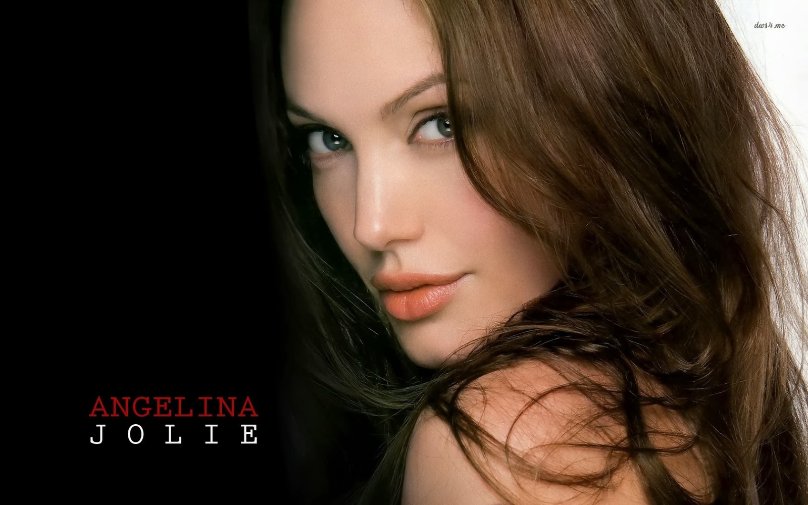 Angelina Jolie HD Wallpaper Image Pics
