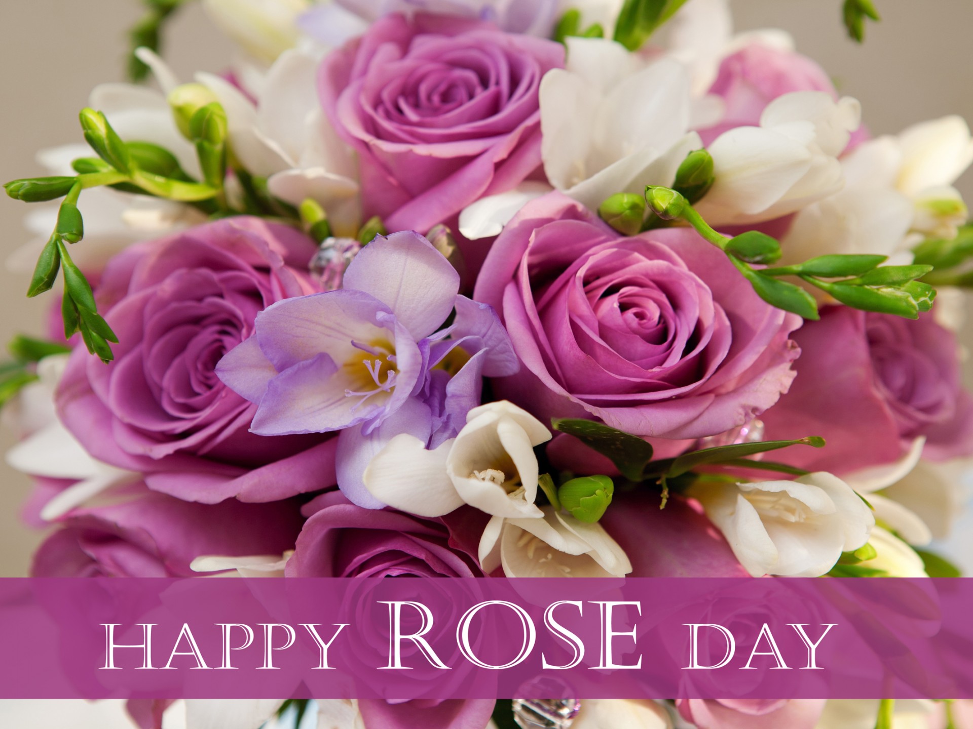 Happy Rose Day Greeting HD Wallpaper Wallpaper13