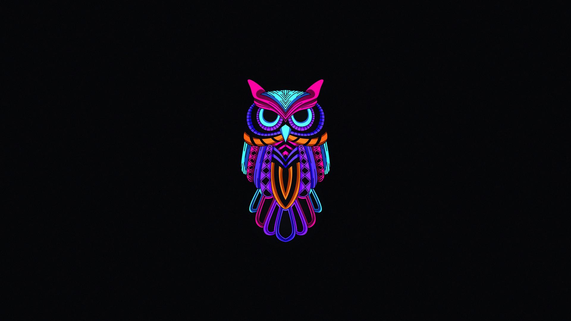 Minimal Art Owl Dark 4k Gnome Look Org