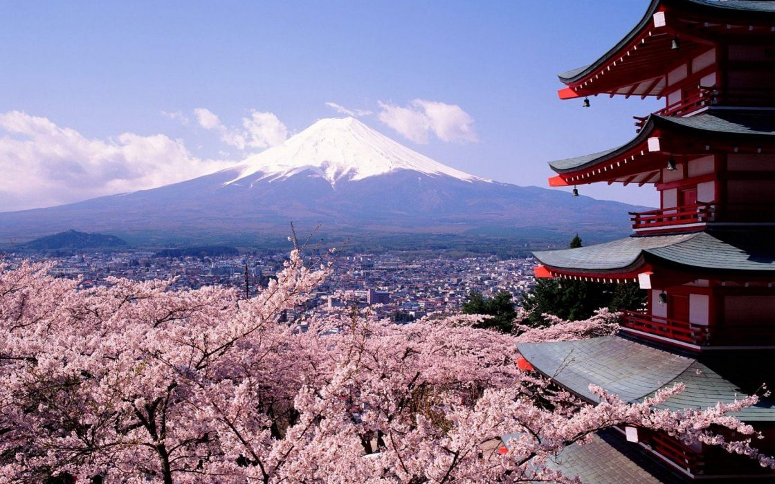Cherry Blossoms And Mount Fuji Japan Wallpaper
