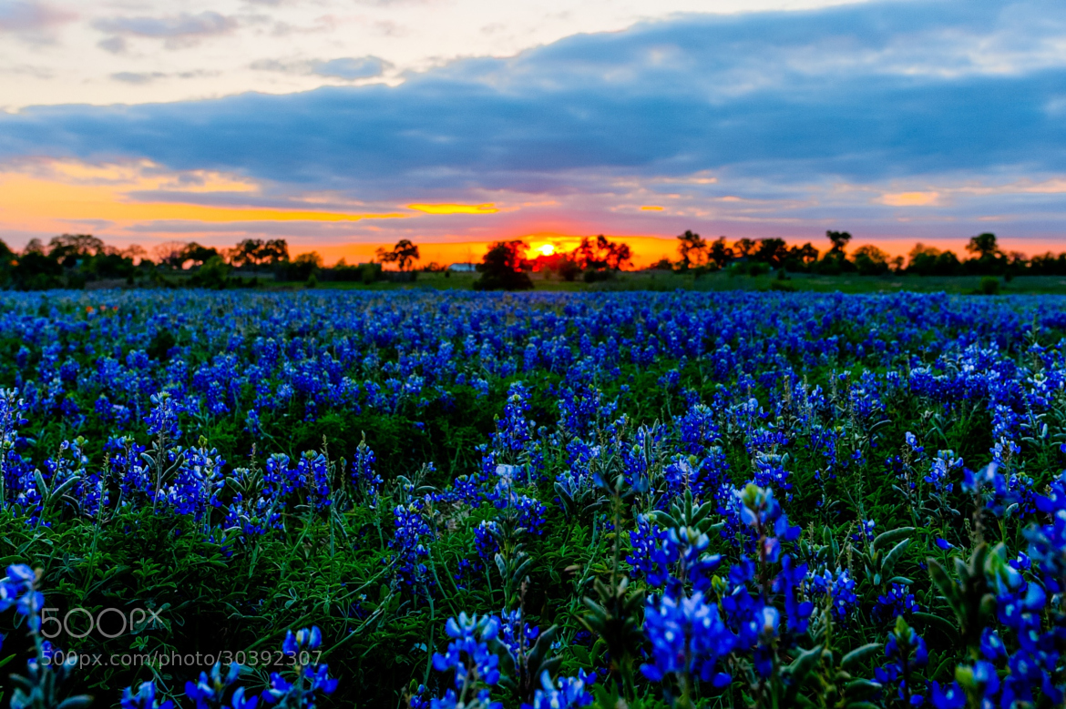 Photograph Bluebon Sunset By Phuc H Nguyen On 500px