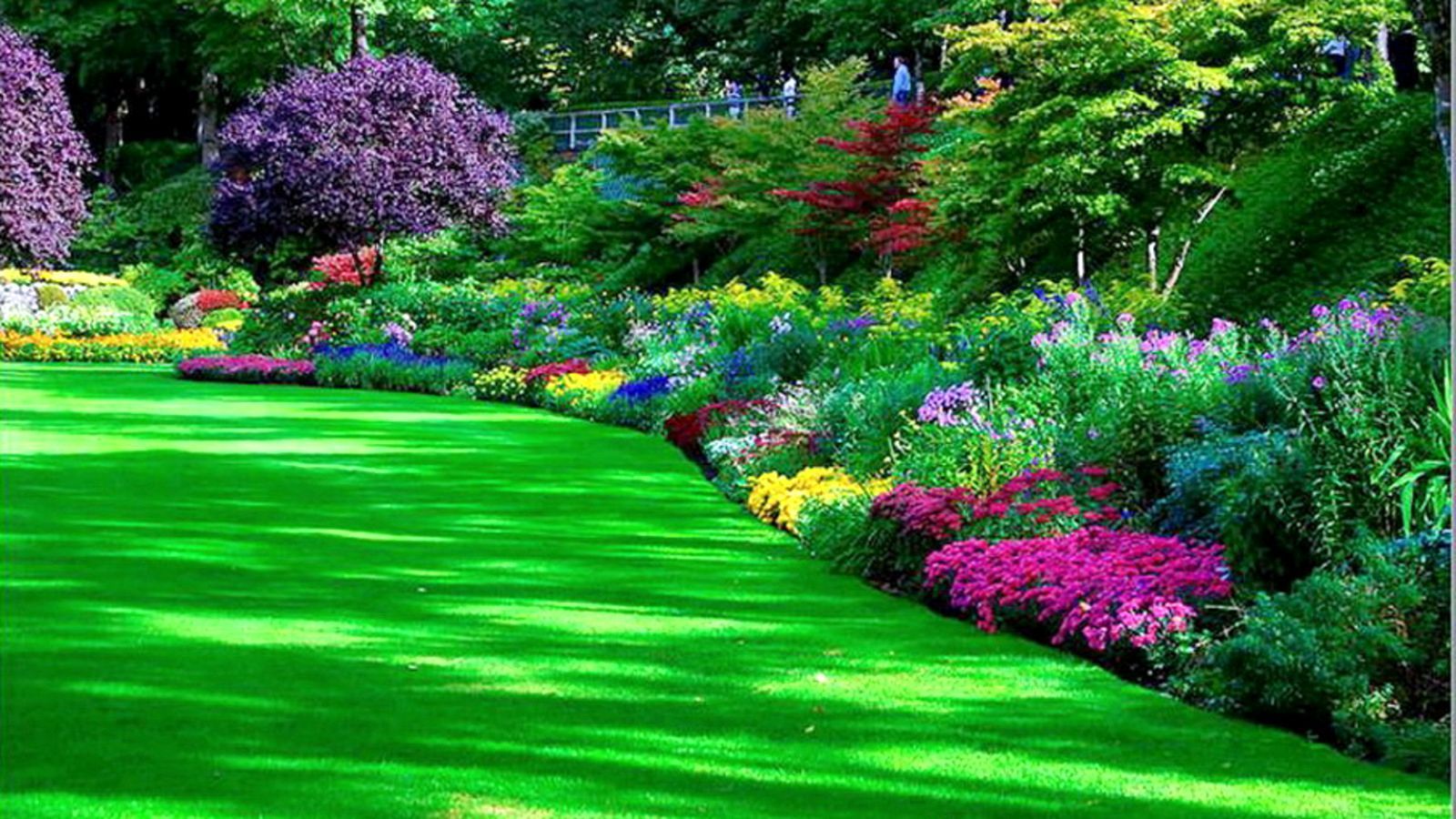 Garden HD Wallpaper