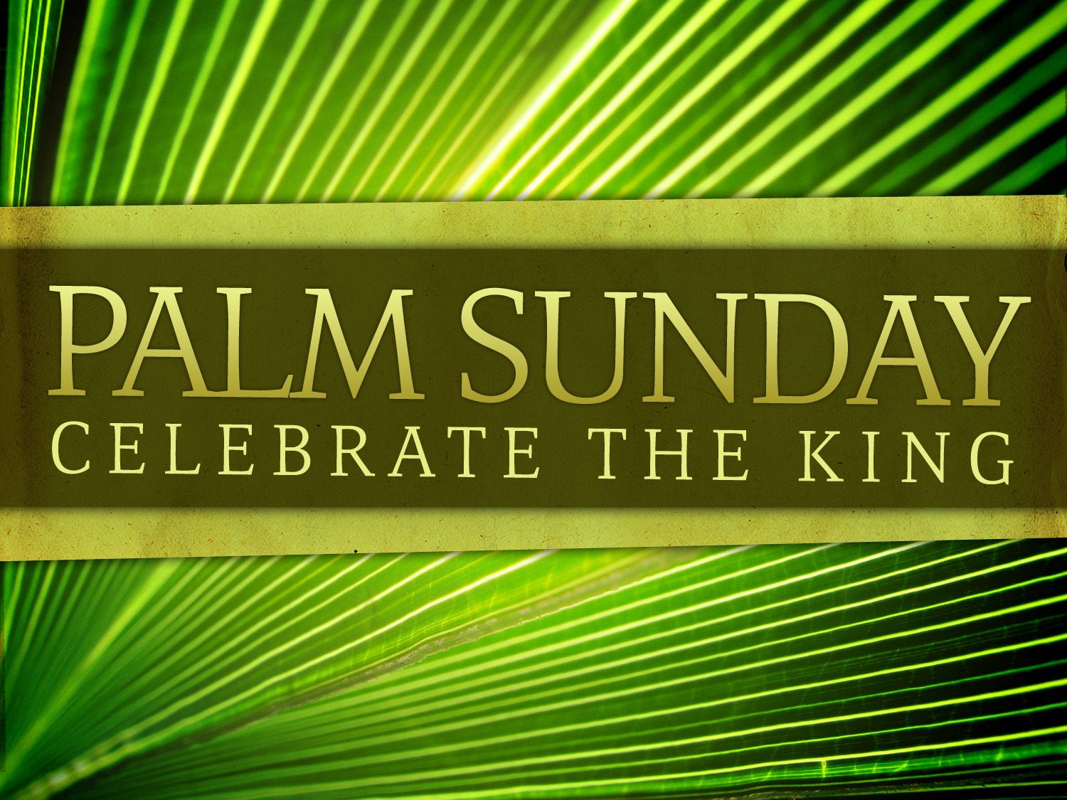 Palm Sunday Pictures and Images Happy Palm Sunday Wallpaper 1500x1125