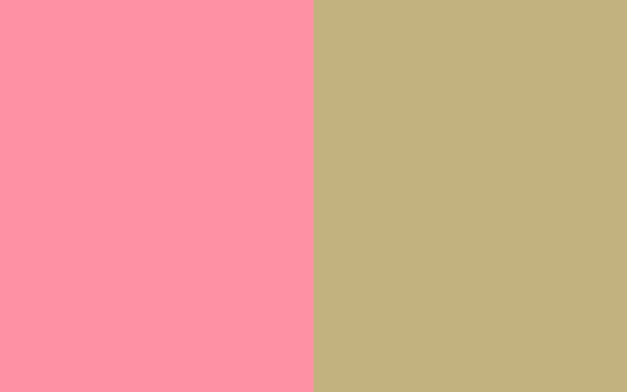 Resolution Salmon Pink And Sand Solid Two Color Background
