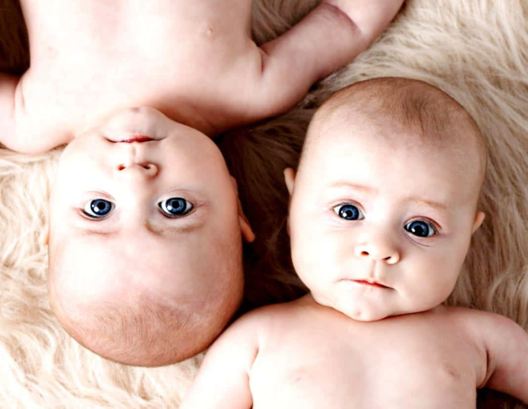 Adorable Twin Siblings Enjoying Nature Together Wallpaper