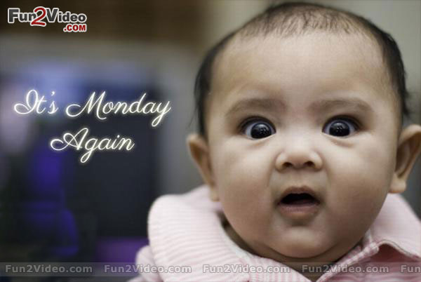 Morning Humorous Photo And Monday Good Image Make Smile Laugh