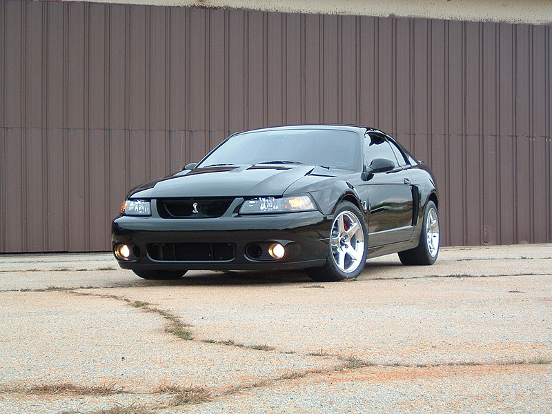 Mustang Cobra Terminators Picture Gray Ford Black