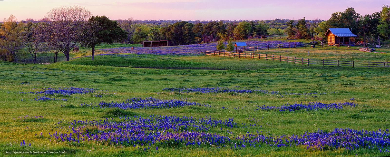 Texas Landscape Desktop Wallpaper - WallpaperSafari
