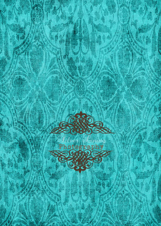 LARGE 5ft x 5ft Turquoise Damask Wallpaper       Vinyl Photography