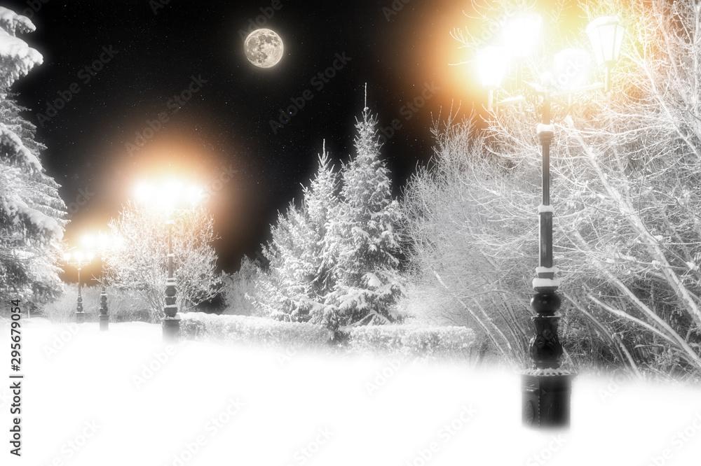 Christmas time in city park at night Winter wonderland landscape