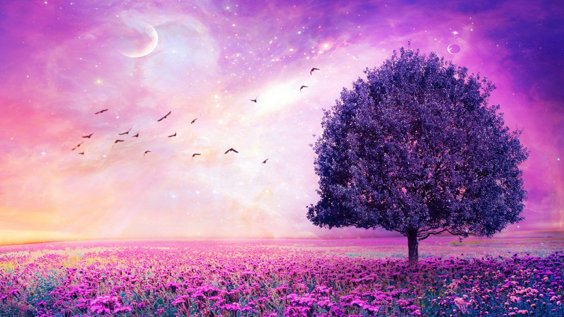 Purple Flower Wallpaper For Desktop
