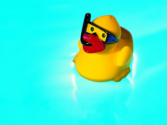Iconic Summer Still Life Fun Lovely Rubber Duck On Water