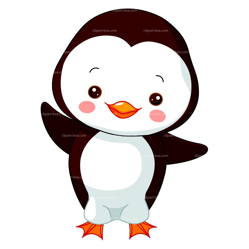 Funny Penguin Wallpaper Gallery