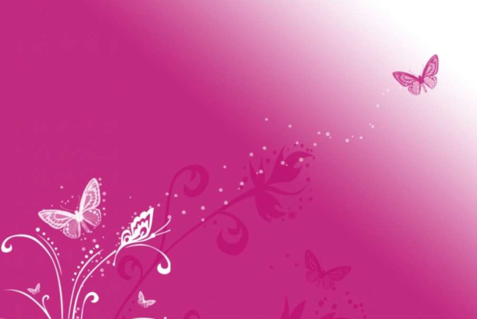 Pink Butterfly Desktop Wallpaper HD Background